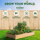 Greenes Fence Original Cedar Raised Garden Bed, 4' x 8' x 14" - Made in USA with North American Cedar Greenes Fence