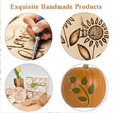 ACRSIKR Wood Burning Kit, WoodBurning Tool Adjustable Temperature 200~450 ℃ Pyrography Kit for Adults Kids Beginners (Bue) ACRSIKR