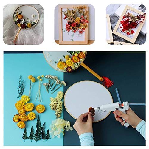 4 Packs Real Natural Dried Flowers for Making Mobile Phone Case Candle Handmade Crafts Epoxy Resin Pendant Necklace Jewelry DIY Accessories,Mixed QUALLON