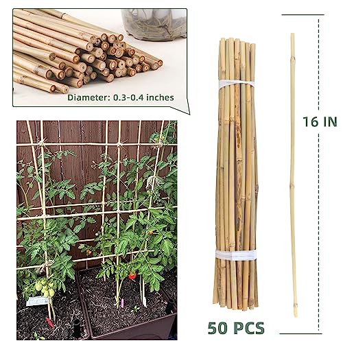 50Pcs Bamboo Plant Stakes for Indoor Outdoor Plants, 0.32''/16 Inch Bamboo Sticks Garden Support Stakes Bamboo Poles Trellis for Tomato Vegetables Avalution