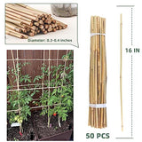 50Pcs Bamboo Plant Stakes for Indoor Outdoor Plants, 0.32''/16 Inch Bamboo Sticks Garden Support Stakes Bamboo Poles Trellis for Tomato Vegetables Avalution