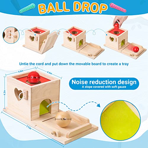 6-in-1 Wooden Play Kit Montessori Toy, Object Permanence Box, Coin Box, Carrot Harvest, Catch Worm, Shape Sorter - Toddler Learning Toy for Kid Age