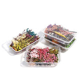 AGCFABS 1 Box Random Real Dried Flower Resin Mold Fillings UV Expoxy Flower for Epoxy Resin Molds Jewelry Making Craft DIY Accessories (Random) AGCFABS