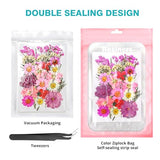 Resiners 100Pcs Dried Pressed Flowers for Resin Molds, Real Pressed Flowers Dry Leaves Kit for Art Crafts Resin Jewelry Making Scrapbook Supplies Resiners