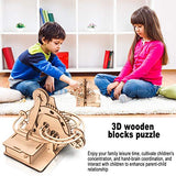 Marble Run 3D Wooden Puzzle for Adults and Teens,DIY Model Kit,Educational Jigsaw Puzzles Building Toys, STEM Projects Science Experiments Runs on auryee