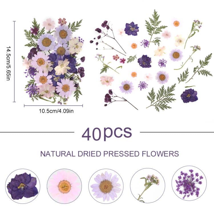 40Pcs Natural Pressed Dried Flowers Resin, Dry Flowers for Resin Accessories with Tweezer, Dried Flower for Scrapbooking DIY Art Crafts, Epoxy Resin - WoodArtSupply