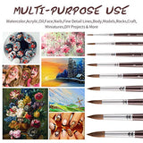 Sable Watercolor Brushes, Fuumuui 9pcs Detail to Mop Kolinsky Sable Brushes Round Pointed Professional Watercolor Brushes Perfect for Watercolor Fuumuui