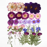 OECCO Large Purple Dried Pressed Flower for Resin, Big Real Nature Pressing Floral Leaves for DIY Craft, Mold, Jewelry Making, Candle Scrapbooking OECOO