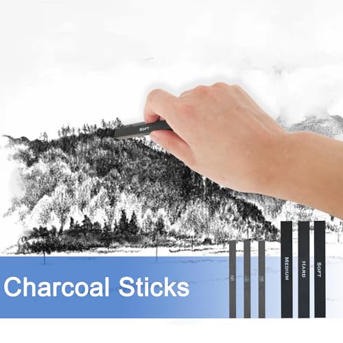 LUCYCAZ Drawing Kit - 55pcs Sketching Kit, Art Supplies for Adults with Drawing Pencils, Charcoal Pencils and Sketchpad, Drawing Supplies for Artist LUCYCAZ