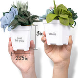 Hapinest Make Your Own Potted Felt Succulents | DIY Arts and Crafts Kit for Adults, Teens and Kids Girls Ages 6 7 8 9 10 11 12 Years Old and Up | Art Hapinest