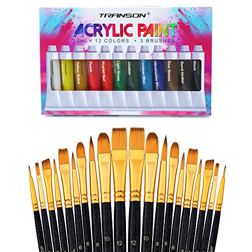 Transon 20pcs Art Painting Brush Set with Acrylic Paint Set 12-Color TRANSON