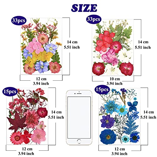 LUCISKY 96 Pcs Pressed Dried Flowers Real Natural Leave Petals for DIY Resin Molds Jewelry Nail Candle Crafts LUCISKY