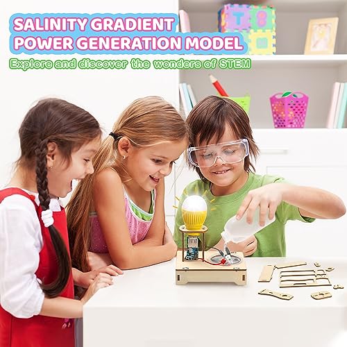 STEM Projects for Kids Ages 8-12, 5 Set STEM Kits, 3D Wooden Puzzles, STEM Toys for Boys Age 8-10, DIY Educational Science Building Kit, Ideal Gifts Poraxy