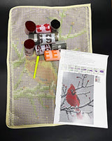 Latch Hook Rug Kit for Adults Red Cardinal Crocheting Carpet Rug Yarn Sofa Cushion Mat Tapestry DIY Carpet Arts Crafts,20.5X15 Inch PakyKai