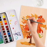 25 Pack 8 x 12 Inch Basswood Sheets, 1/16 Thin Craft Plywood Sheets, Thin & Unfinished Wood Boards for Crafts, Hobby, Model Making, Wood Burning MIVIDE