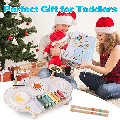 Twefex Kids Drum Set - 9 in 1 Baby Drum Set for Toddlers - Montessori Musical Instruments Toy for Babies - Wooden Xylophone Musical Toys for Boys and Twefex