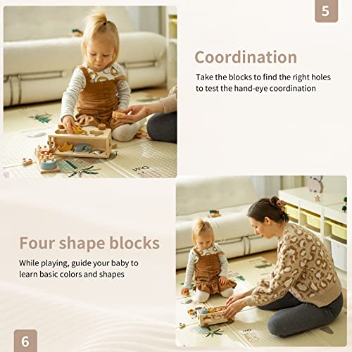 Samonyed Shape Sorter Toys for Toddlers 1-3 Montessori Stack Toy Car for 1 Year OldBaby Blocks Sorting Wooden&Silicone Educational Car Stacking Toys Samonyed