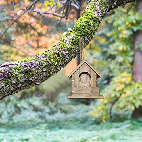 DIY Outdoor Wooden Bird Feeding Build House,Wooden Bird House Kit for Outside Hanging,4.6 Inches Bird Nest, Nesting Box for Backyard Courtyard Patio Paiaojia