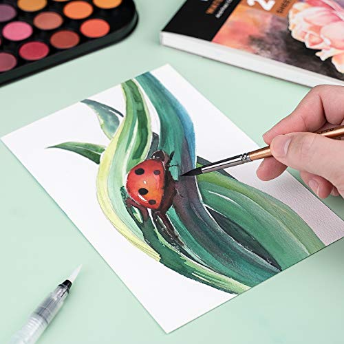 Nicpro Watercolor Paint Set, 48 Water Colors Kit with 8 Squirrel Brushes, Palette, Watercolor Pen, 25 Art Pad Paper, 2 Art Sponges, Non-toxic Nicpro
