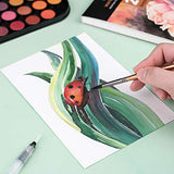 Nicpro Watercolor Paint Set, 48 Water Colors Kit with 8 Squirrel Brushes, Palette, Watercolor Pen, 25 Art Pad Paper, 2 Art Sponges, Non-toxic Nicpro