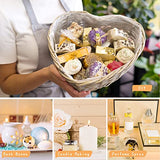 Fruity Essential Oils Set - TOP 14 Fragrance Oil for Diffusers, Candle Making Includes Strawberry, Apple, Pineapple, Cucumber Melon, Cherry, Mango, Aeshory