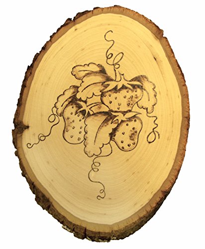 Walnut Hollow Basswood Round, Small 5-7" wide with Live Edge Wood (Pack of 1) - For Wood Burning, Home Décor, and Rustic Weddings - WoodArtSupply