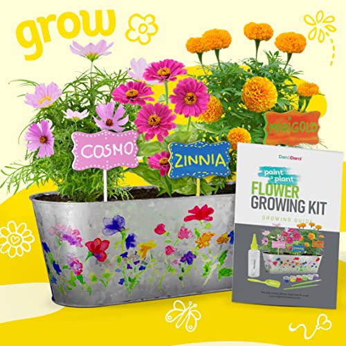 Paint & Plant Flower Growing Kit for Kids - Best Birthday Crafts Gifts for Girls & Boys Age 5 6 7 8-12 Year Old Girl Gift Ideas - Fun Children Dan&Darci