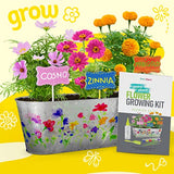 Paint & Plant Flower Growing Kit for Kids - Best Birthday Crafts Gifts for Girls & Boys Age 5 6 7 8-12 Year Old Girl Gift Ideas - Fun Children Dan&Darci