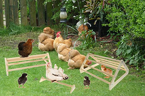 CooShou 3 Pack Chick Perch Chick Toys Chick Wooden Roosting Bar Chick Jungle Gym Perch Stand for Chicken Brooder, Coop Baby Chicks CooShou