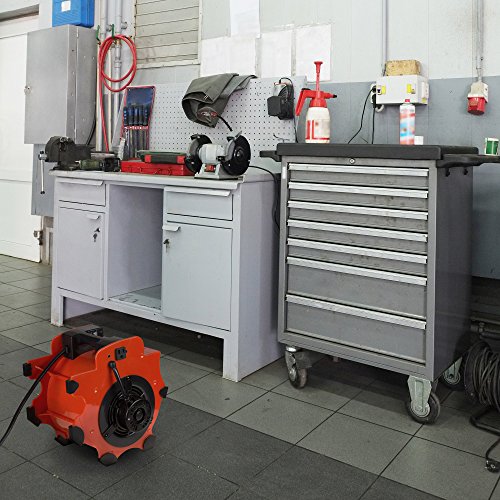 Blower Fan - 3-Speed Heavy-Duty Floor and Carpet Dryer - 1600 watts -Portable Air Mover with 4 Different Angles for Basements, Cars or Garages by Stalwart