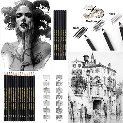 Heshengping 31 Drawing Sketching Pencils Kit, Portable Artist Supples Travel Case Set has Graphite, Charcoal, white color pencil, Blending Stump, Heshengping