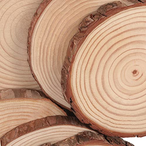 SOUJAP 10 Pcs 7-8 Inch Natural Wood Slices, Unfinished Wood Slices with Tree Barks, Wooden Circles for Crafts, DIY Arts, Rustic Wedding Decorations, SOUJAP