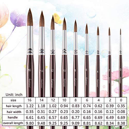 Sable Watercolor Brushes, Fuumuui 9pcs Detail to Mop Kolinsky Sable Brushes Round Pointed Professional Watercolor Brushes Perfect for Watercolor Fuumuui
