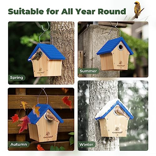 Kingsyard Wooden Bird House with Predator Guard, Wren Bird Nesting for Outdoor, Garden Patio Nest Box for Wild Bird Watching, Royal Blue Kingsyard