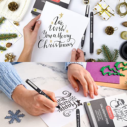 PANDAFLY Calligraphy Pens, 10 Size Calligraphy Pens for Writing, Hand Lettering, Art Drawing, Sketching, Scrapbooking, Journaling, Calligraphy Brush PANDAFLY