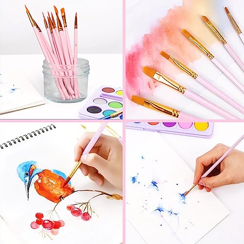 AROIC Acrylic Paint Brushes, 6 Packs/60 pcs Nylon Hair Paint Brush Set for All Purpose Oil Watercolor Painting Artist Professional Kits (Pink)