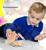 Puzzled 3D Puzzle Crab Wood Craft Construction Model Kit, Fun Unique & Educational DIY Wooden Toy Assemble Model Unfinished Crafting Hobby Sea Life Puzzled