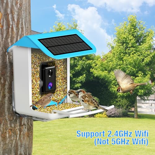 isYoung Smart Bird Feeder with Camera, Free AI Forever, Identify Bird Species, Wireless Connection Bird Camera with Solar Panel, Auto Capture & - WoodArtSupply