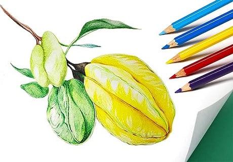 SKKSTATIONERY 50Pcs Colored Pencils,50 Vibrant Colors, Drawing Pencils for Sketch, Arts, Coloring Books, Christmas Halloween Gifts SKKSTATIONERY