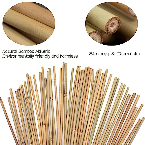 POLIUMB 50PCS Plant Stakes,16 Inch Natural Bamboo Stakes，Garden Stakes for Indoor and Outdoor Plants，Poles Sticks for Tomatoes,Beans,Flowers,Trees POLIUMB