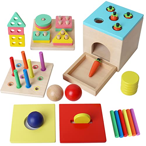 BESTAMTOY Wooden Montessori Toy for 1+ Year Old, Shape Sorter,Object Permanence Box, Coin Carrot Harvest, Toddler Learning Kid Age 1, 2, 3 Girl boy - WoodArtSupply