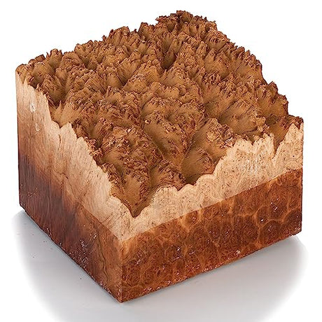 Woodcraft Australian Red Mallee Burl Turning Blank 2kg-4kg 1-Piece WOODCRAFT