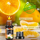 Fruity Essential Oils Set - TOP 14 Fragrance Oil for Diffusers, Candle Making Includes Strawberry, Apple, Pineapple, Cucumber Melon, Cherry, Mango, Aeshory