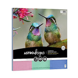Astrodesigns Crafting Cardstock, 12" x 12", 65 lb/176 gsm, Shimmering 3-Color Assortment, 36 Sheets (91454) Astrodesigns