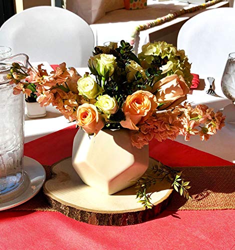 KINGCRAFT 4 Pack Large Natural Wood Slices Round Rustic Slabs Unfinished Wood Sanded 8"-10" for Wedding Centerpiece Table Birthday Party Baby Shower Kingcraft