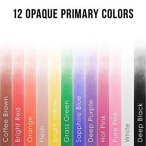U.S. Art Supply 12 Color Set of Primary Opaque Colors Acrylic Airbrush, Leather & Shoe Paint Set with Reducer & Cleaner 1 oz. Bottles US Art Supply