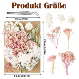 Real Dried Flowers, Natural Dry Flowers Mixed Natural Pressed Flowers Flores Secas Dried Florals for Crafts,Resin,Candle Making (Pink and White) auroray