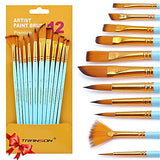 Transon Art Painting Brush Assorted Set of 12 with Acrylic Paint Set 12-Color TRANSON