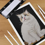 Dyvicl White Charcoal Pencils Drawing Set, 6 Pcs Sketch Highlight Pencil Hard Charcoal White Pencils for Drawing, Sketching, Shading, Blending Dyvicl