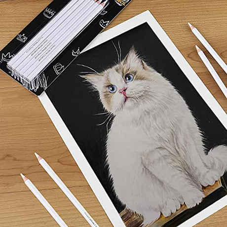 Dyvicl White Charcoal Pencils Drawing Set, 6 Pcs Sketch Highlight Pencil Hard Charcoal White Pencils for Drawing, Sketching, Shading, Blending Dyvicl